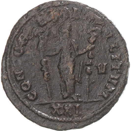 minca, 
  
  Seweryna, 
  
  Aurelian