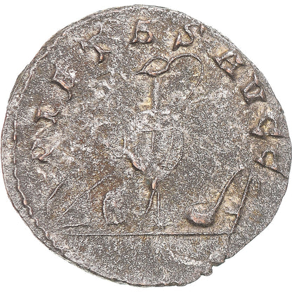 minca, 
  
  Saloninus, 
  
  Antoninian