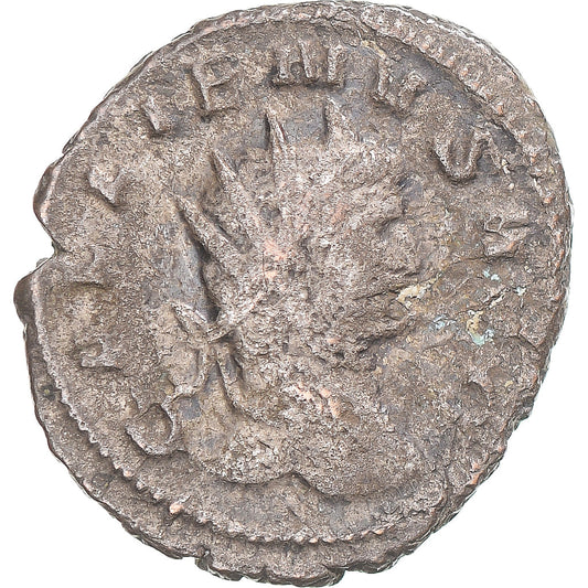 minca, 
  
  Galen, 
  
  Antoninian