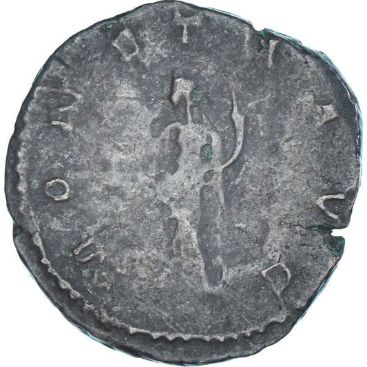 minca, 
  
  postumus, 
  
  Antoninian