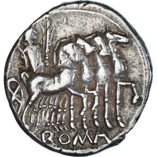 minca, 
  
  Varguncja, 
  
  dinár