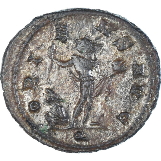 minca, 
  
  Aurelianos, 
  
  Antoninian