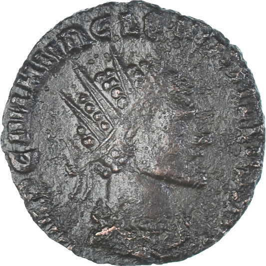 minca, 
  
  Quintillo, 
  
  Antoninian