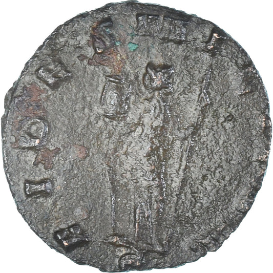 minca, 
  
  Quintillo, 
  
  Antoninian