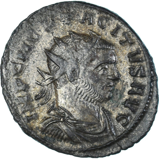 minca, 
  
  Tacitus, 
  
  Antoninian