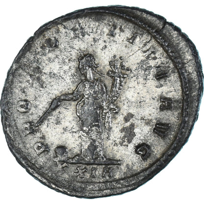 minca, 
  
  Tacitus, 
  
  Antoninian