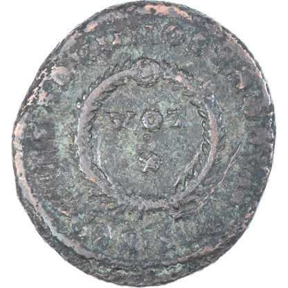 minca, 
  
  crispus, 
  
  Follis