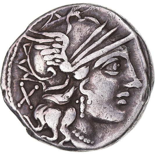 minca, 
  
  Plaucia, 
  
  dinár