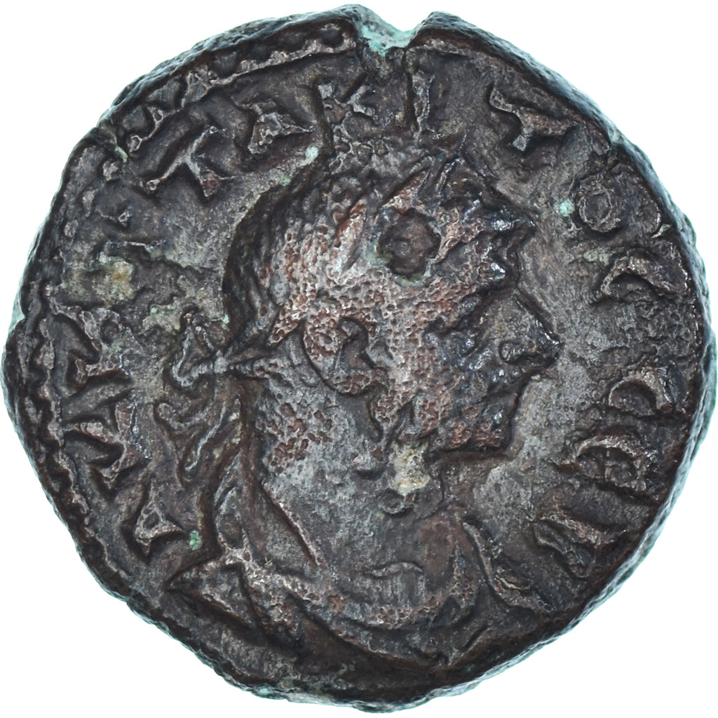 minca,
 
 Egypt,
 
 Tacitus