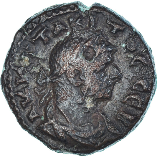 minca,
 
 Egypt,
 
 Tacitus