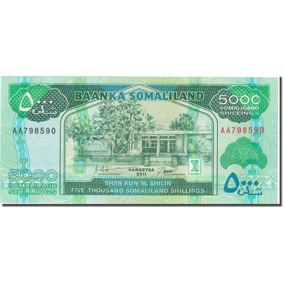 bankovka,
 
 Somaliland,
 
 5000 šilingov